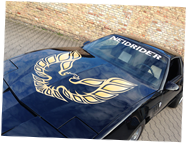 Die Tuning Profis - Trans Am